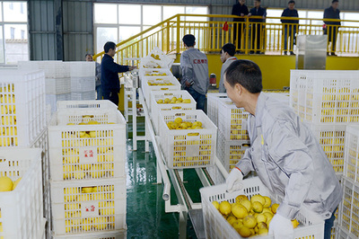 重庆农商行 引金融活水“贷”动乡村产业发展，助力农产品加工升级