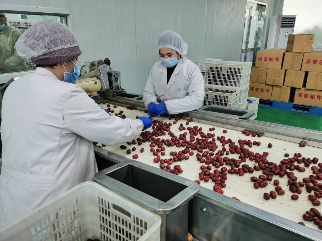 上海援疆 农产品深加工助推乡村振兴开新局