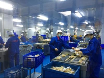 柳州乡村振兴新引擎 聚焦产业融合，擘画农产品加工新图景