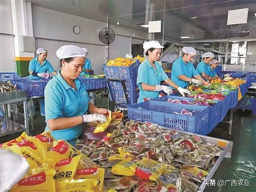 加工带动产业升级，广西“好嘢”农产品香飘万里