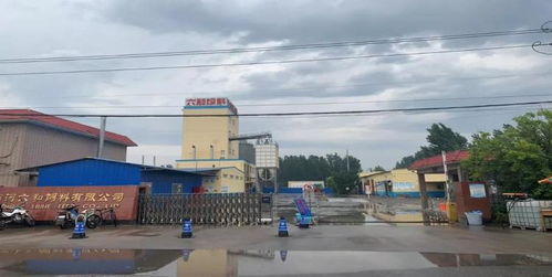 商河县企业荣膺省级农产品加工业示范企业称号，引领产业升级新篇章