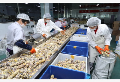 打造“第一车间” 农业农村部力推农产品精深加工，百强企业引领产业升级