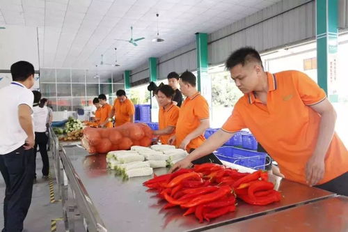 2019中央一号文件解读 农村电商迎六大政策利好，农产品加工迎来新机遇