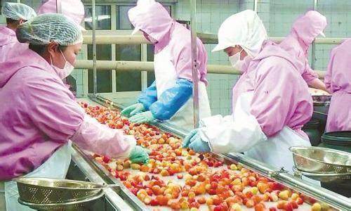 转型升级之路 我国农产品加工业的挑战与机遇