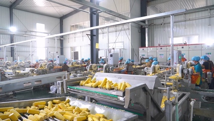 县域商业体系升级 农产品加工作为双循环引擎