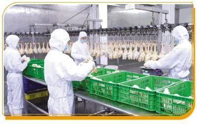 唐顺兴 一只'供港鸡'的国际化之旅——广东农产品出口典型案例分析